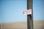 Red Dog 4-0633